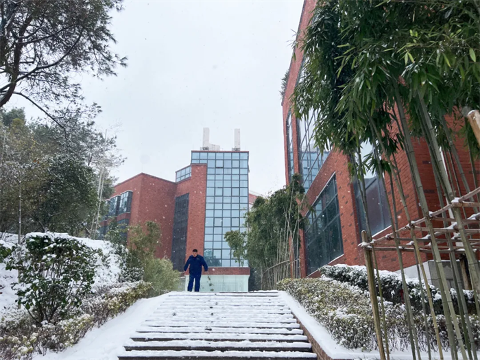 ɭ��������-׷�󿵽�,����һ������