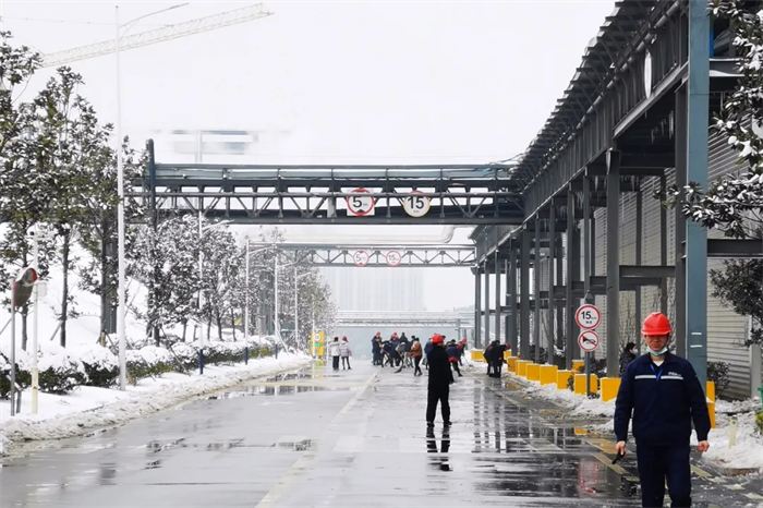 ɭ��������-׷�󿵽�,����һ������