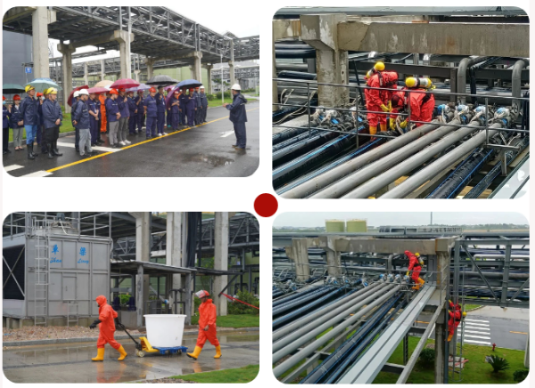 ɭ��������-׷�󿵽�,����һ������