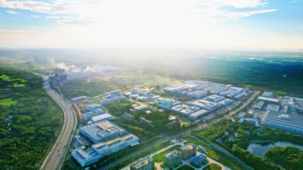 ɭ��������-׷�󿵽�,����һ������