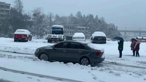 ɭ��������-׷�󿵽�,����һ������