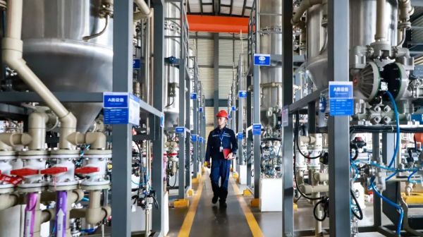 ɭ��������-׷�󿵽�,����һ������