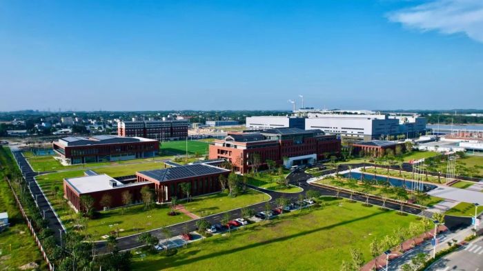 ɭ��������-׷�󿵽�,����һ������