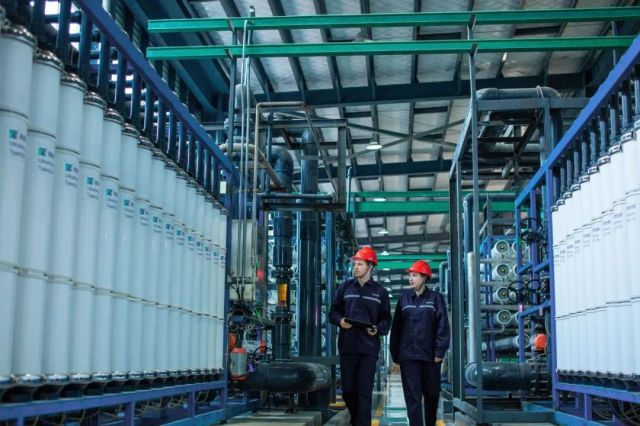 ɭ��������-׷�󿵽�,����һ������