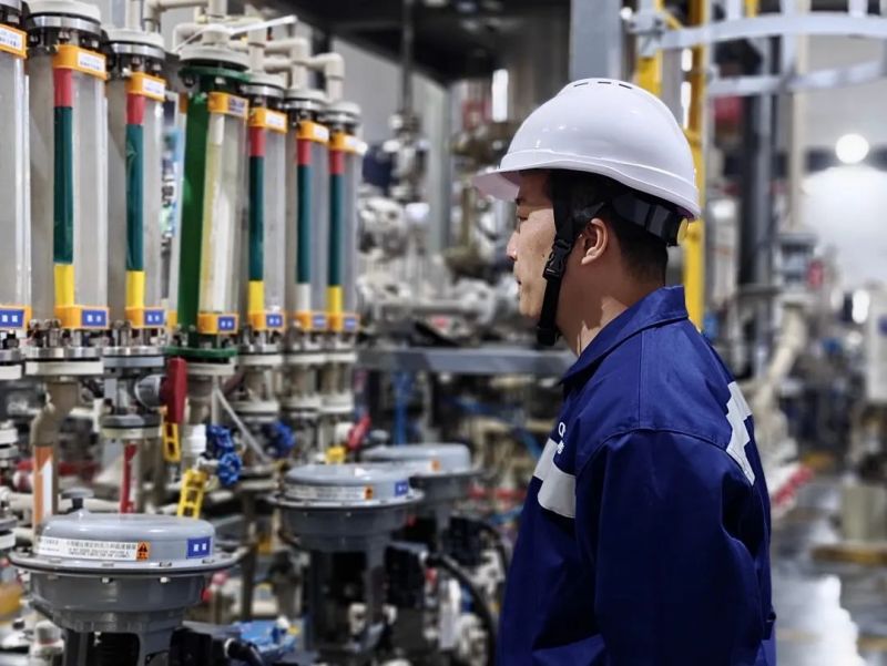 ɭ��������-׷�󿵽�,����һ������