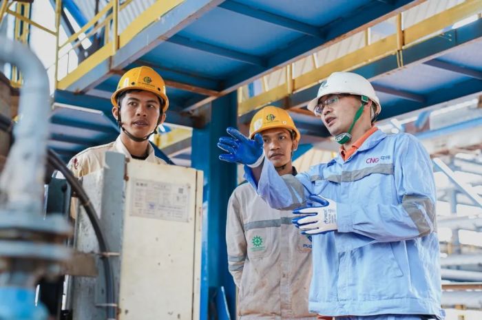 ɭ��������-׷�󿵽�,����һ������