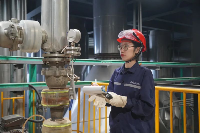 ɭ��������-׷�󿵽�,����һ������