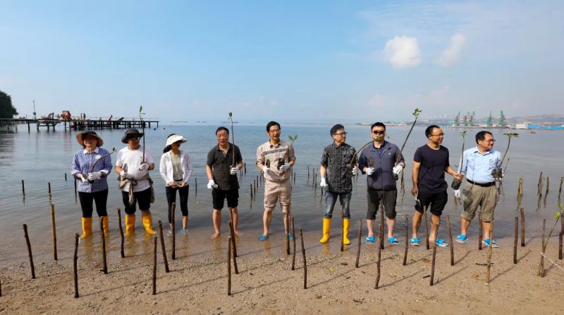 ɭ��������-׷�󿵽�,����һ������