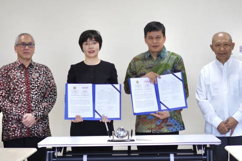 ɭ��������-׷�󿵽�,����һ������