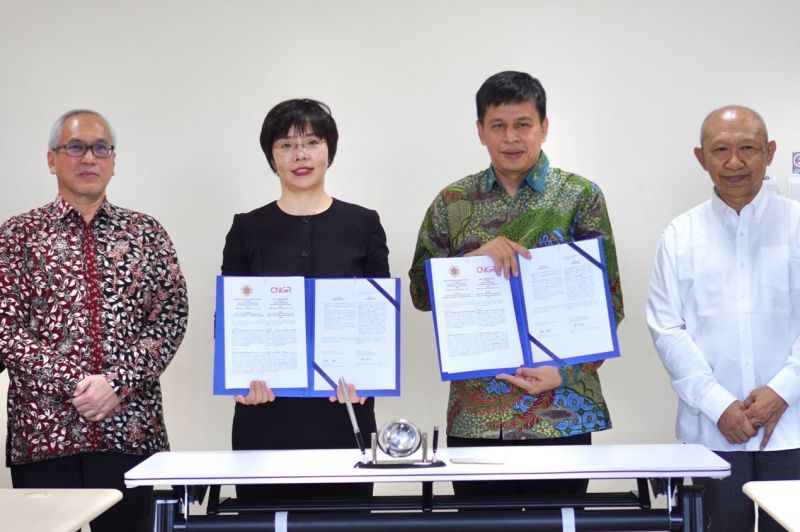 ɭ��������-׷�󿵽�,����һ������