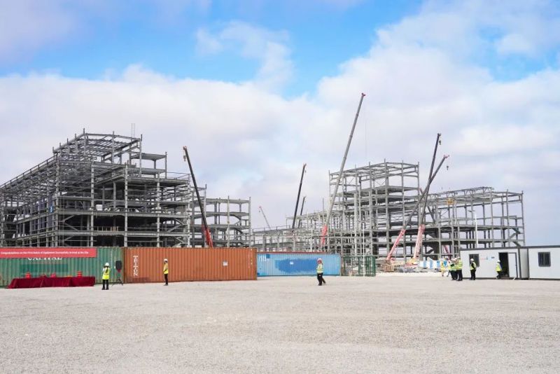 ɭ��������-׷�󿵽�,����һ������