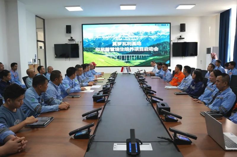 ɭ��������-׷�󿵽�,����һ������