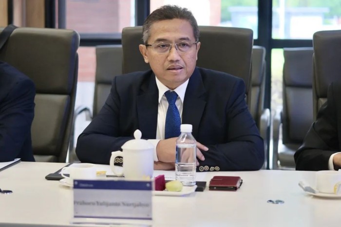 ɭ��������-׷�󿵽�,����һ������