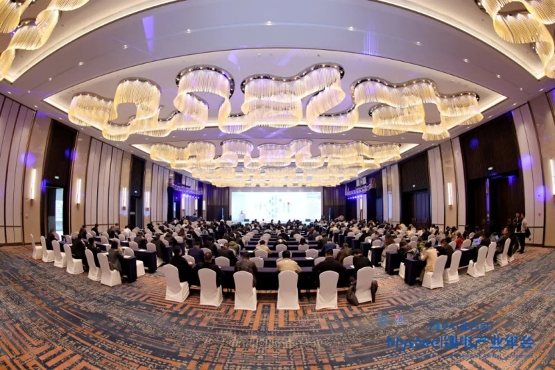 ɭ��������-׷�󿵽�,����һ������