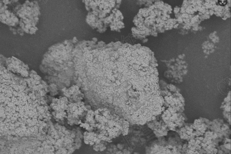 ɭ��������-׷�󿵽�,����һ������