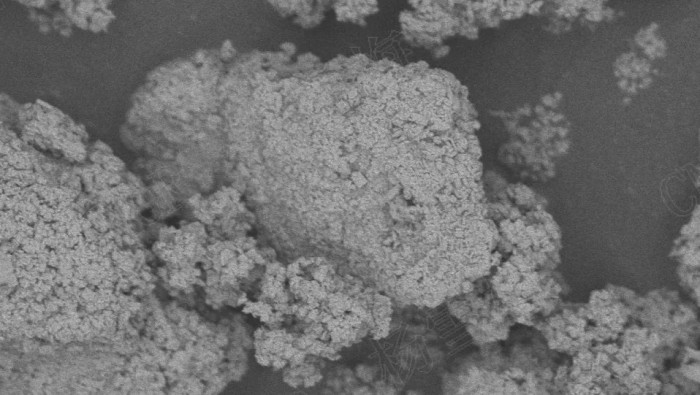 ɭ��������-׷�󿵽�,����һ������