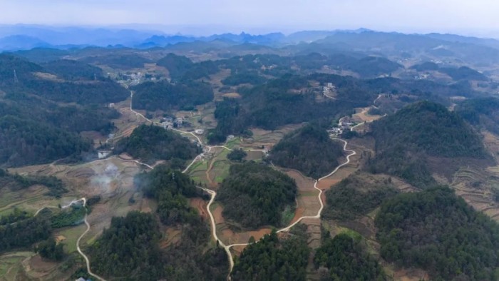 ɭ��������-׷�󿵽�,����һ������