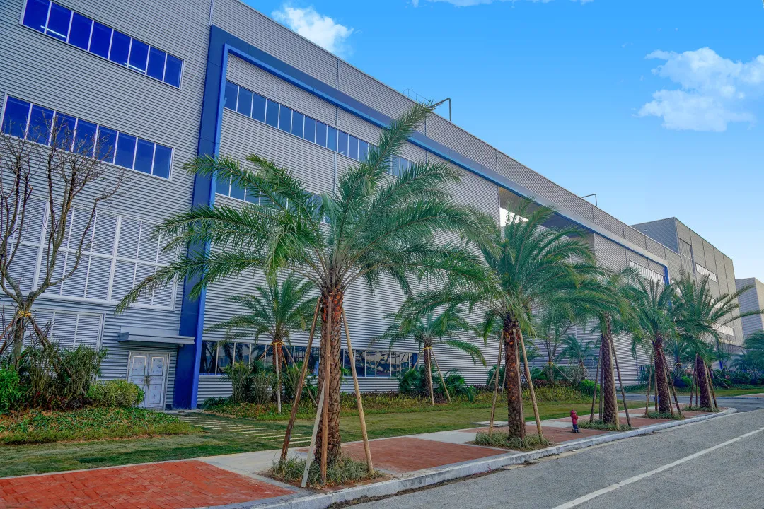 ɭ��������-׷�󿵽�,����һ������