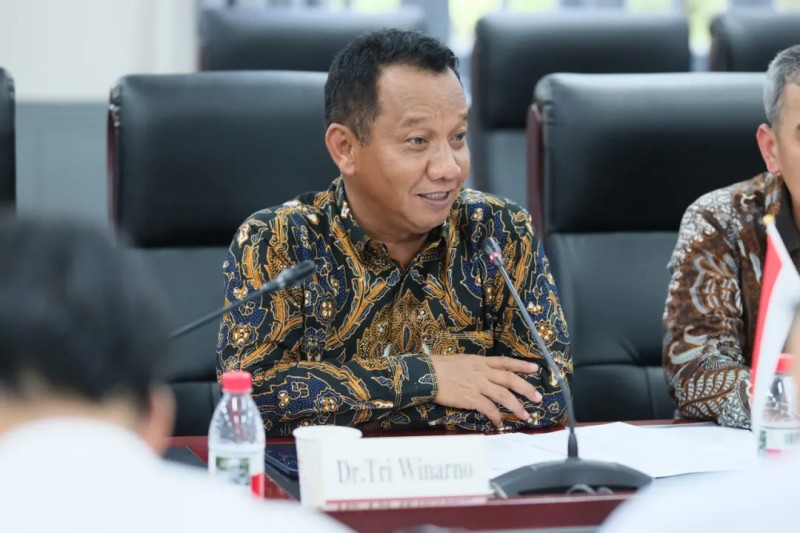 ɭ��������-׷�󿵽�,����һ������