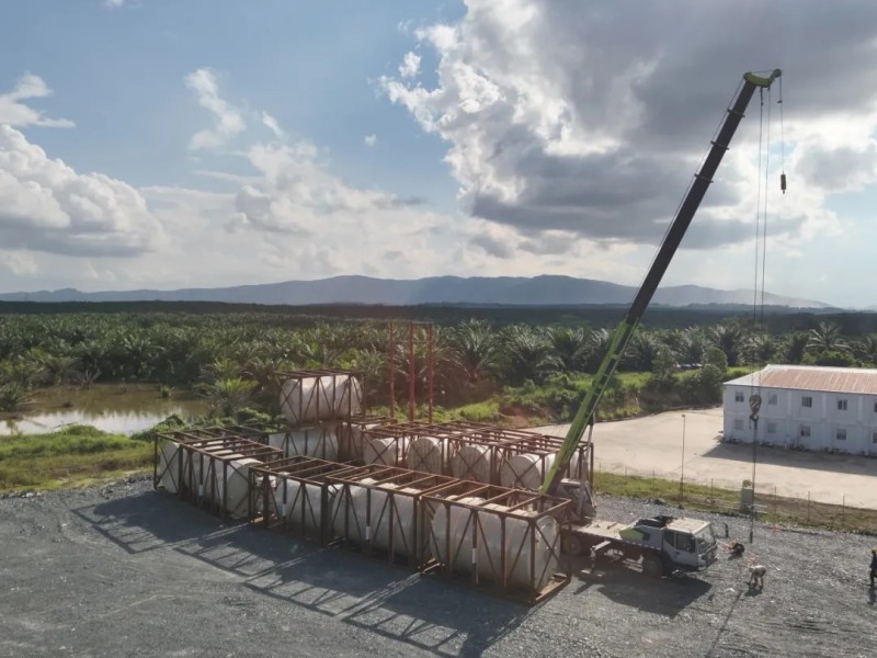 ɭ��������-׷�󿵽�,����һ������