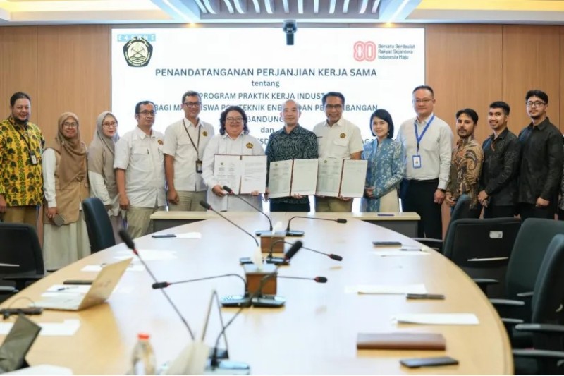 ɭ��������-׷�󿵽�,����һ������